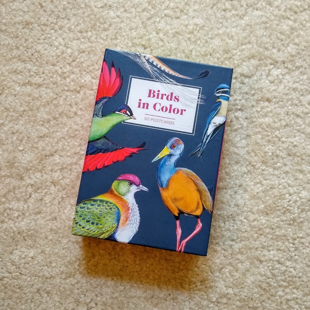 Bird Postcard Set